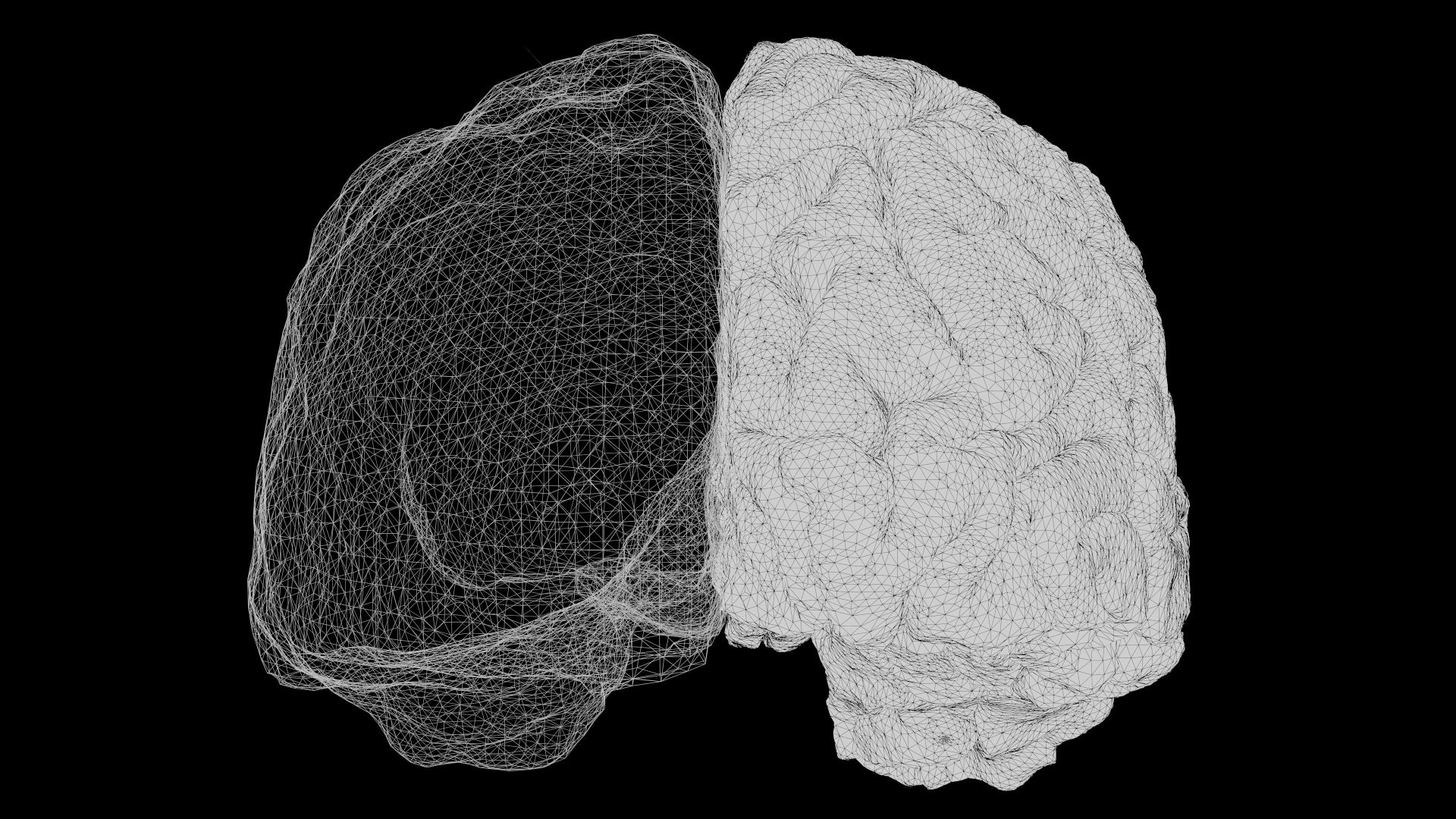 Wireframe representation of a human brain, highlighting cognitive processes related to forensic science and criminal defense.