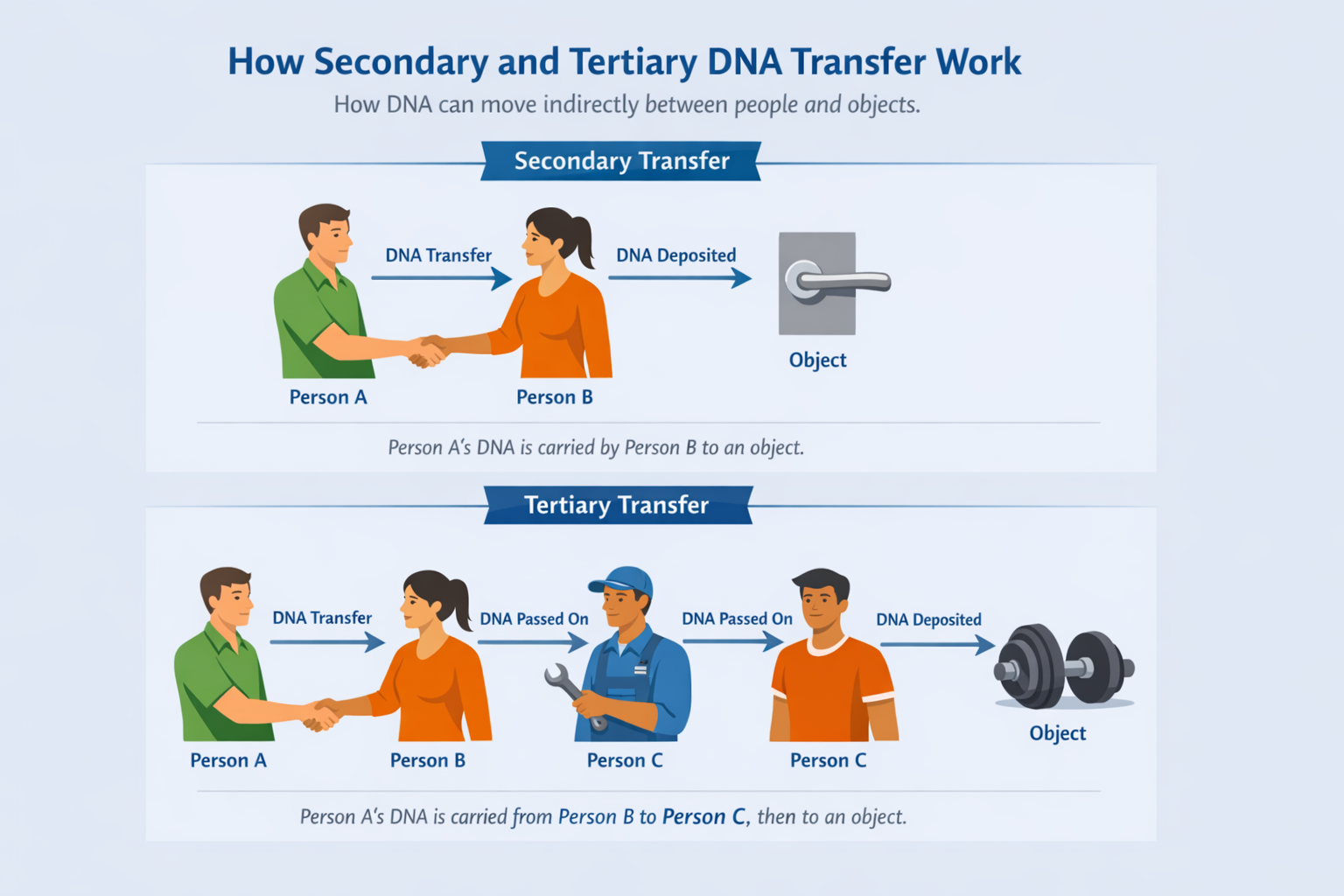 Diagram illustrating secondary and tertiary DNA transfer pathways